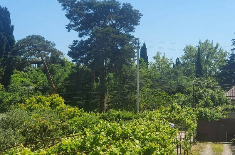 Изображение Изображение гостиницы "Частный сектор «Тихий уголок»" #3 #3