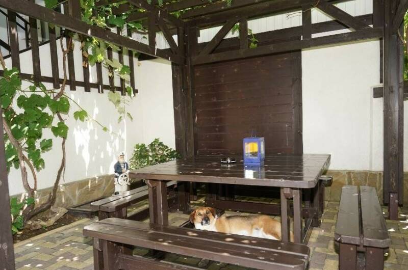 Изображение Изображение гостиницы &quot;Постоялый двор «Виноград»&quot; #8 #8