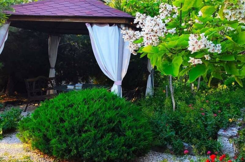 Изображение Изображение гостиницы "Семейный пансионат «Соната»" #2 #2