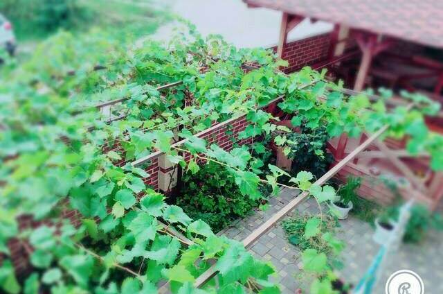 Изображение Изображение гостиницы &quot;Гостевой дом «Twin Tower»&quot; #2 #2