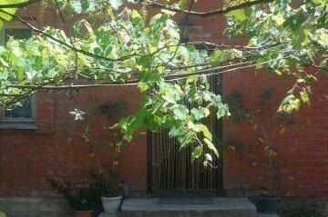 Изображение Изображение гостиницы &quot;Гостевой дом «Мираж»&quot; #3 #3