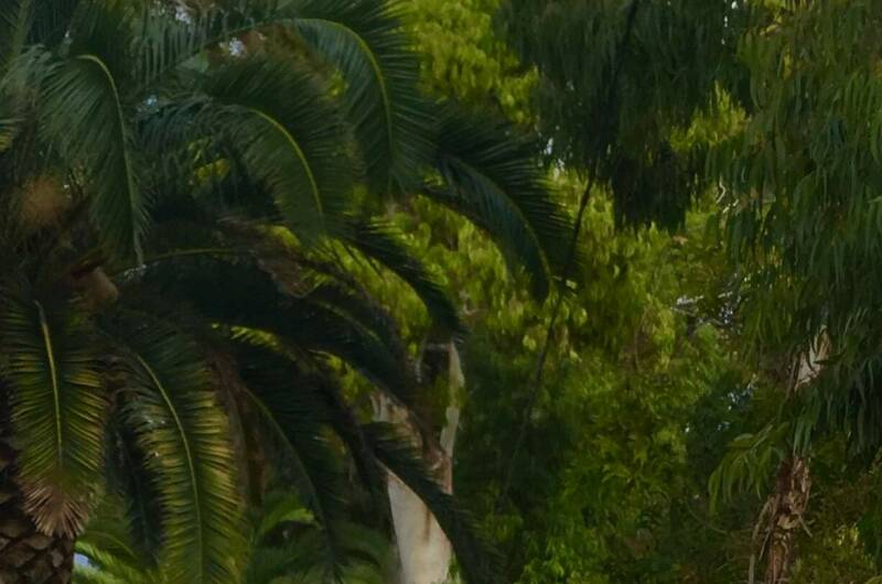 Изображение Изображение гостиницы "Гостевой дом «У Кота Василия»" #2 #2