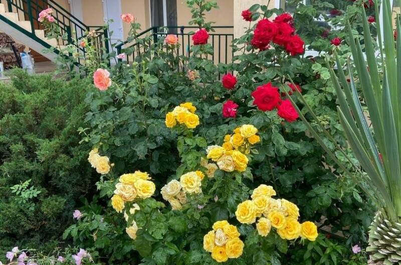 Изображение Изображение гостиницы "Гостевой дом «Светалина»" #3 #3