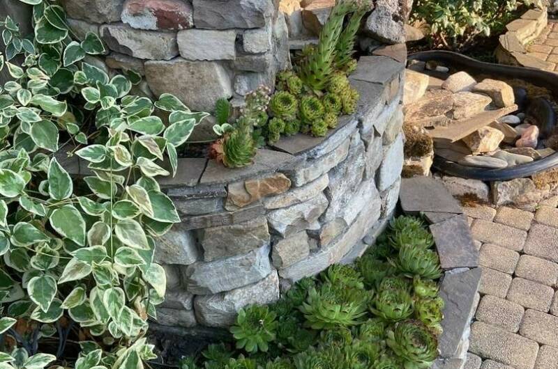 Изображение Изображение отеля / гостиницы "Гостевой дом «Светалина»" #10 #8