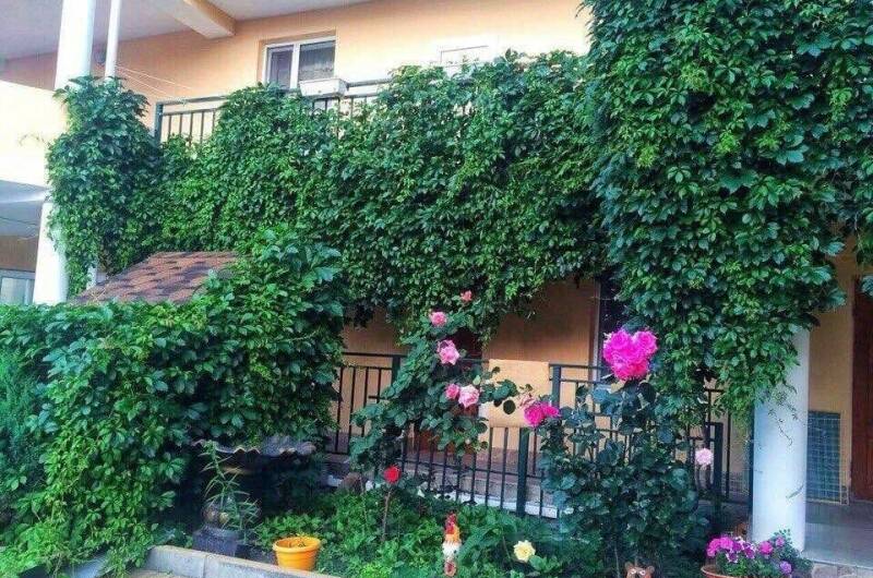 Изображение Изображение отеля / гостиницы "Гостевой дом «Светалина»" #11 #9