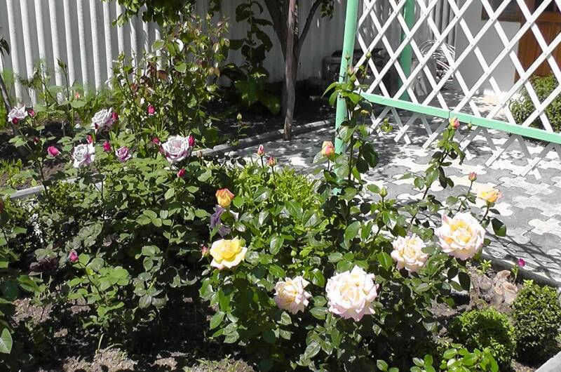 Изображение Изображение гостиницы &quot;Гостевой дом «Море»&quot; #5 #5