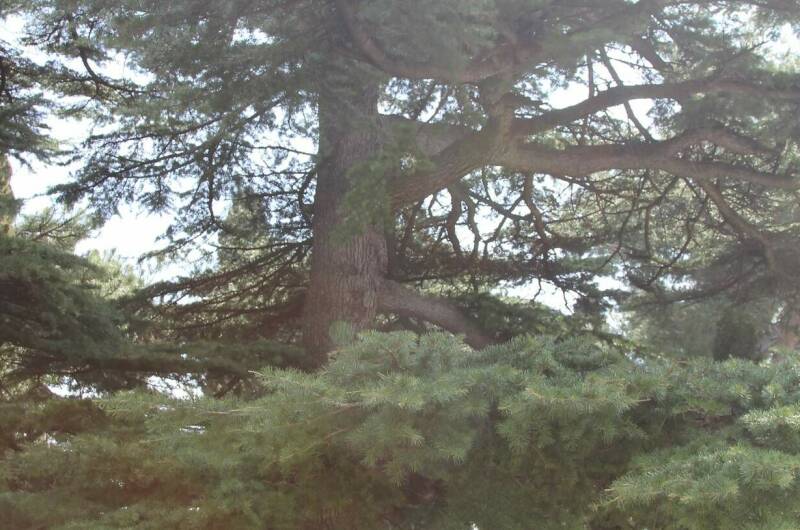 Изображение Изображение гостиницы &quot;Апартаменты с бассейном «Respect Bashnya»&quot; #2 #2