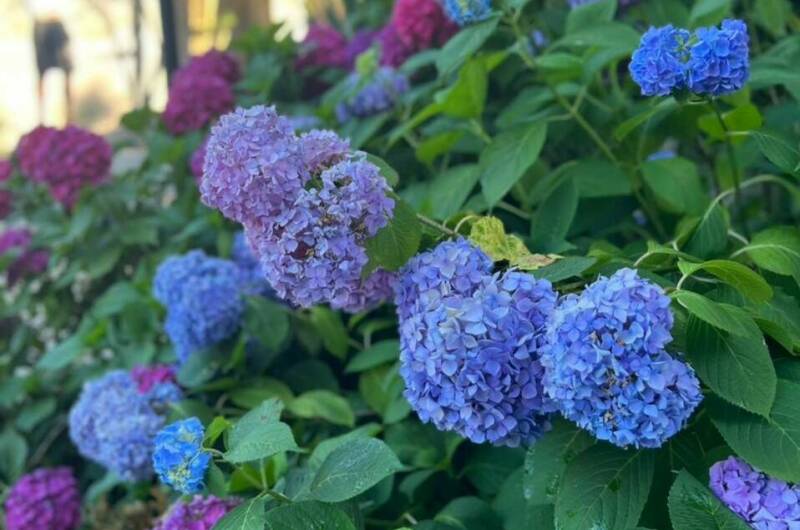 Изображение Изображение гостиницы &quot;Частный сектор&quot; #2 #2