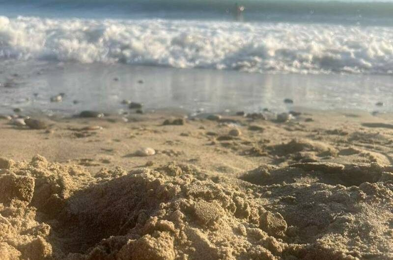 Изображение Изображение гостиницы &quot;Частный сектор&quot; #8 #8