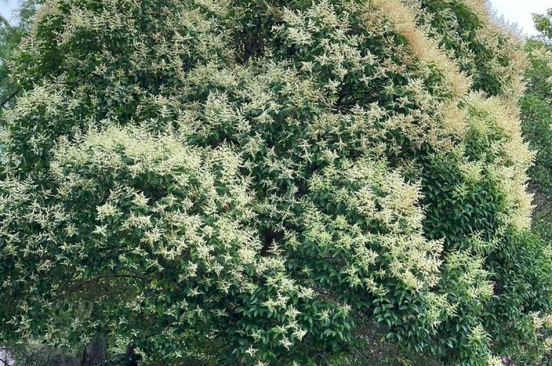 Изображение Изображение отеля / гостиницы "Частный сектор" #10 #8