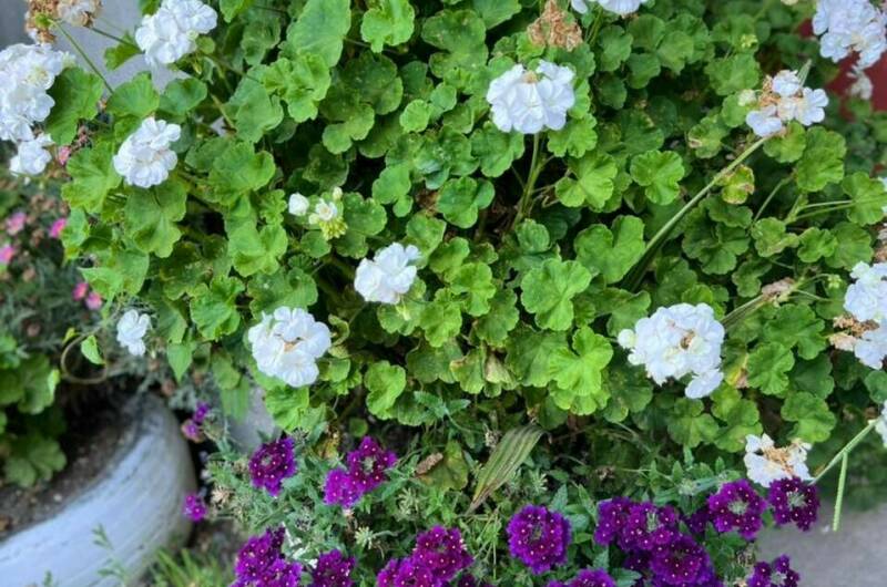 Изображение Изображение отеля / гостиницы "Частный сектор" #11 #9