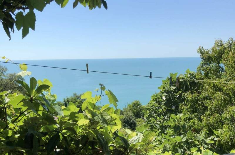 Изображение Изображение гостиницы &quot;Гостевой дом «Рио де Чемитка»&quot; #2 #2