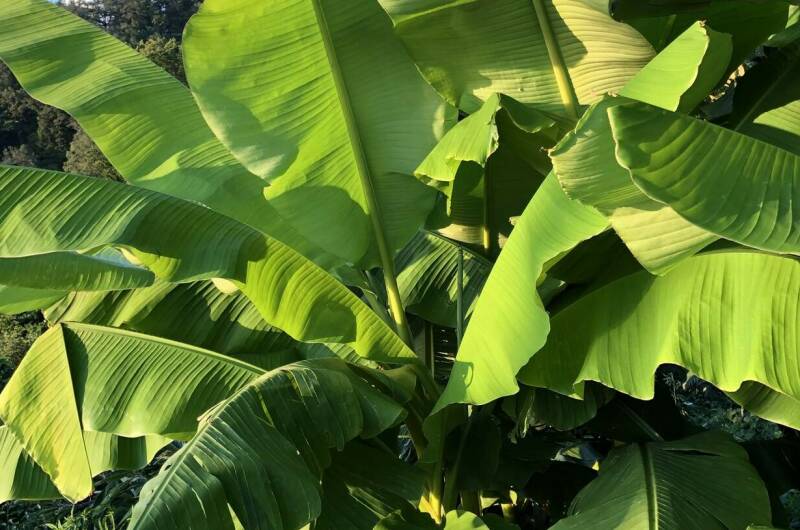 Изображение Изображение гостиницы &quot;Гостевой дом «Рио де Чемитка»&quot; #6 #6