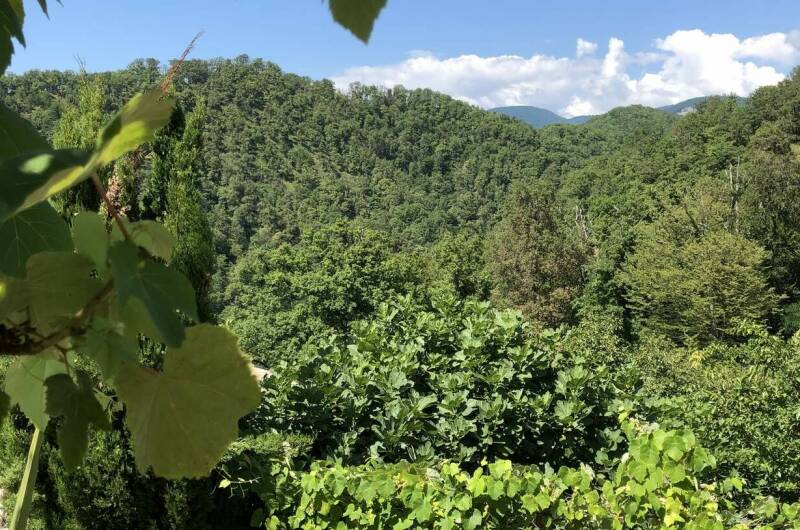 Изображение Изображение гостиницы &quot;Гостевой дом «Рио де Чемитка»&quot; #8 #8