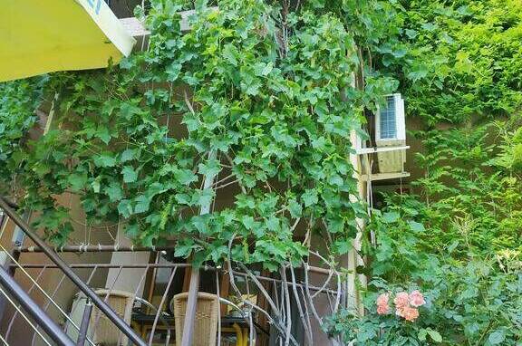 Изображение Изображение гостиницы "Гостевой дом «Ирина»" #5 #5