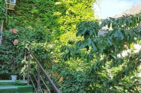 Изображение Изображение гостиницы "Гостевой дом «Ирина»" #8 #8