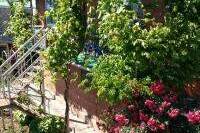 Изображение Изображение гостиницы &quot;Гостевой дом «Райский уголок»&quot; #3 #3