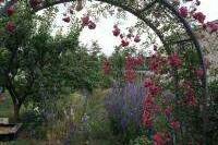 Изображение Изображение гостиницы &quot;Гостевой дом «Райский уголок»&quot; #8 #8