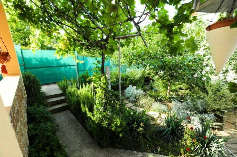 Изображение Изображение гостиницы &quot;Гостевой дом «Тропиканка»&quot; #4 #4