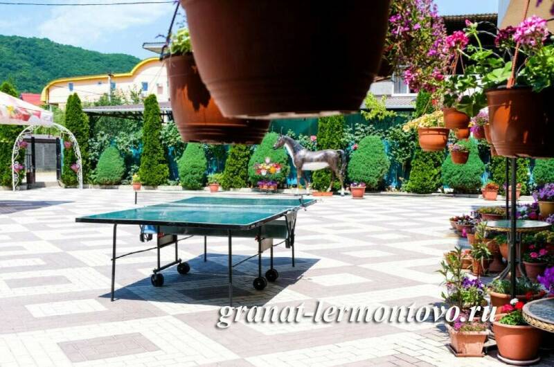 Изображение Изображение гостиницы &quot;Отель «Гранат»&quot; #2 #2