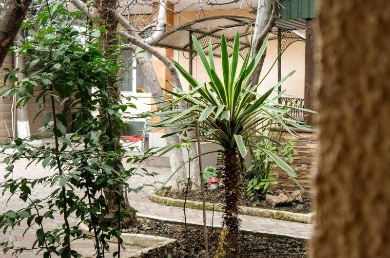 Изображение Изображение гостиницы &quot;Гостевой дом «Никита»&quot; #2 #2