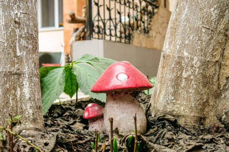 Изображение Изображение отеля / гостиницы "Гостевой дом «Никита»" #10 #8