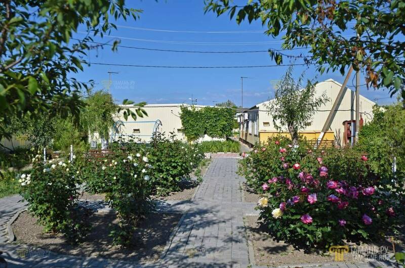 Изображение Изображение гостиницы &quot;Дом отдыха «Дорожник»&quot; #6 #6