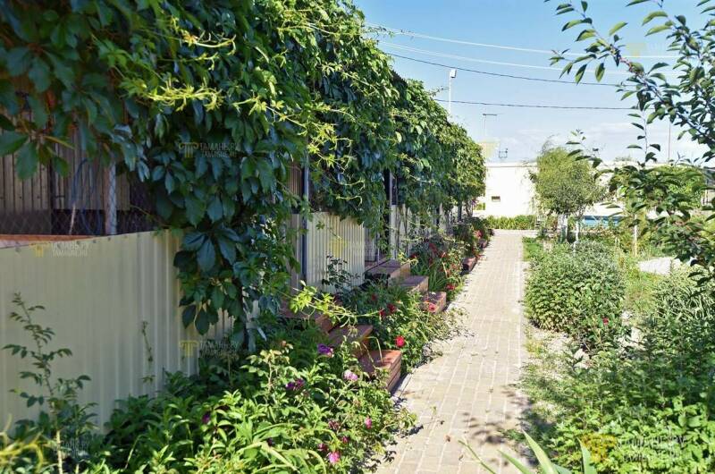 Изображение Изображение отеля / гостиницы "Дом отдыха «Дорожник»" #10 #8