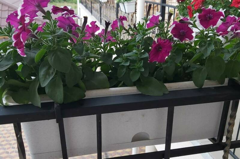 Изображение Изображение гостиницы &quot;Гостевой дом «НВ 86»&quot; #5 #5