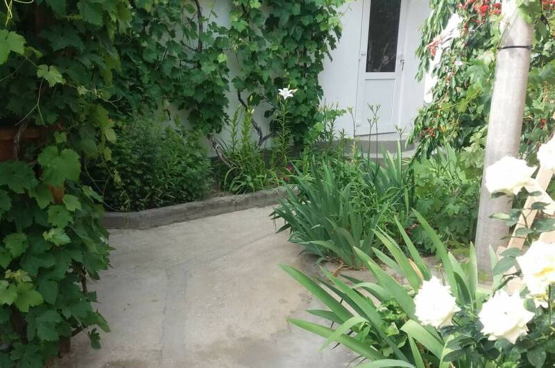 Изображение Изображение квартиры &quot;2-х комнатный дом «Южнобережный»&quot; #6 #6