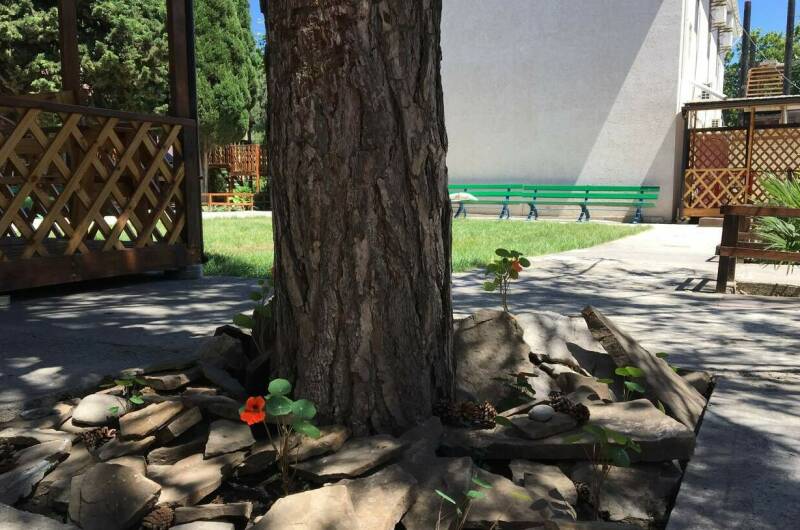 Изображение Изображение гостиницы &quot;Курортный отель «Арена»&quot; #2 #2