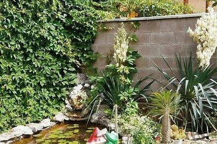 Изображение Изображение гостиницы &quot;Гостевой дом «Шанс»&quot; #4 #4