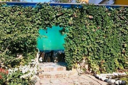 Изображение Изображение гостиницы &quot;Гостевой дом «Шанс»&quot; #6 #6