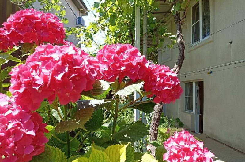 Изображение Изображение гостиницы "Гостевой дом «У Риммы»" #3 #3