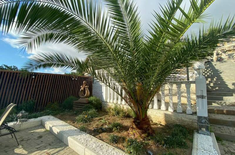 Изображение Изображение гостиницы &quot;Отель «White Hotel»&quot; #2 #2