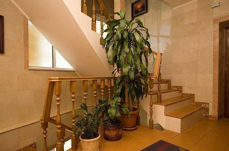 Изображение Изображение гостиницы &quot;Эллинг «Алекрини»&quot; #7 #7