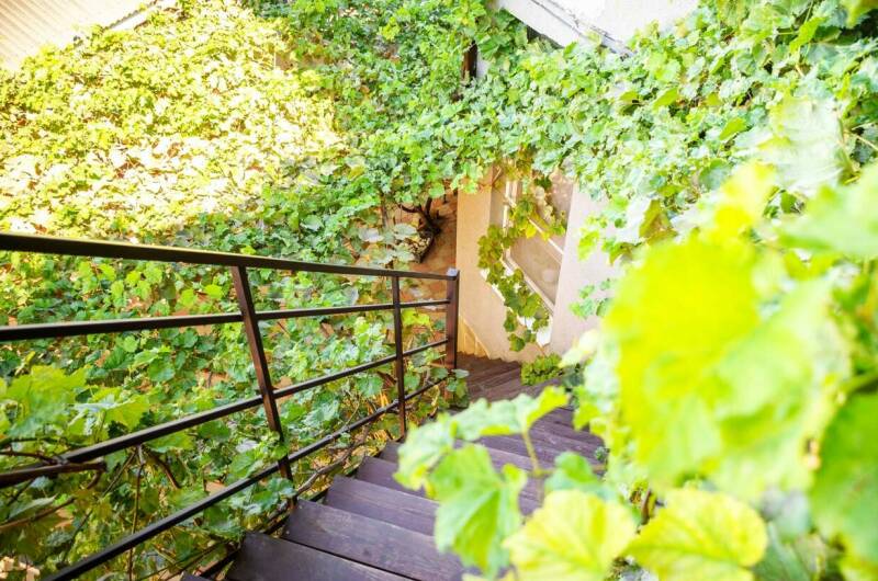 Изображение Изображение гостиницы &quot;Гостевой дом «Чайка»&quot; #3 #3