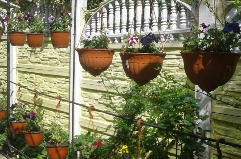 Изображение Изображение гостиницы "Гостевой дом «Бриз»" #4 #4