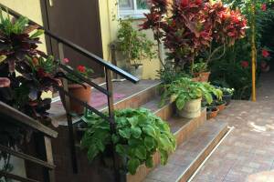 Изображение отеля / гостиницы "Частный сектор на Ульяновской"