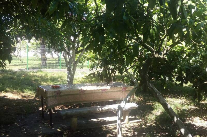 Изображение Изображение гостиницы &quot;Гостевой дом «У Артура и Сусанны»&quot; #3 #3