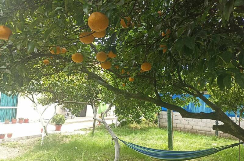 Изображение Изображение гостиницы &quot;Гостевой дом «У Артура и Сусанны»&quot; #5 #5