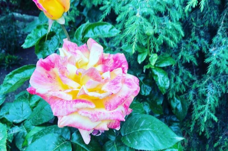 Изображение Изображение отеля / гостиницы "Гостевой дом «На Шмидта»" #10 #8