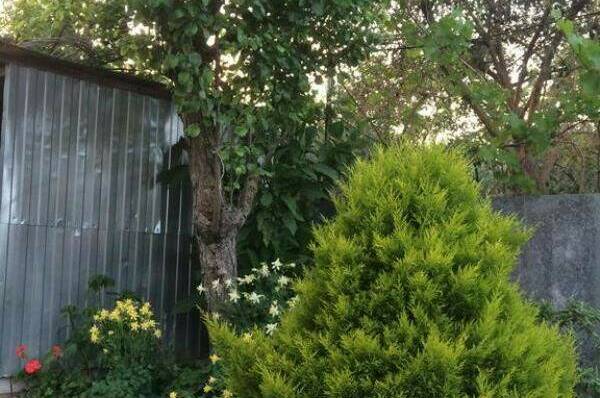 Изображение Изображение гостиницы &quot;Гостевой дом «Тёплый очаг»&quot; #2 #2