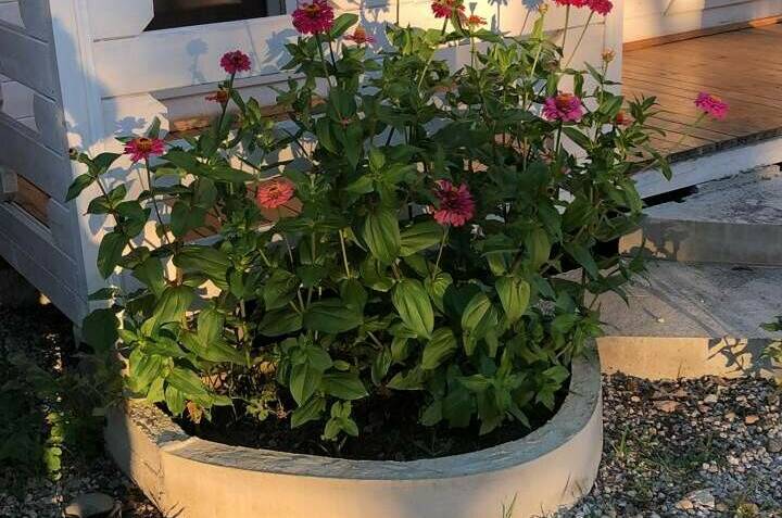 Изображение Изображение гостиницы "Гостевой дом «Капри»" #6 #6