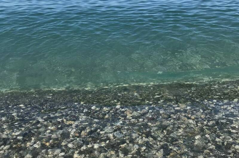 Изображение Изображение гостиницы "Гостевой дом «Капри»" #8 #8