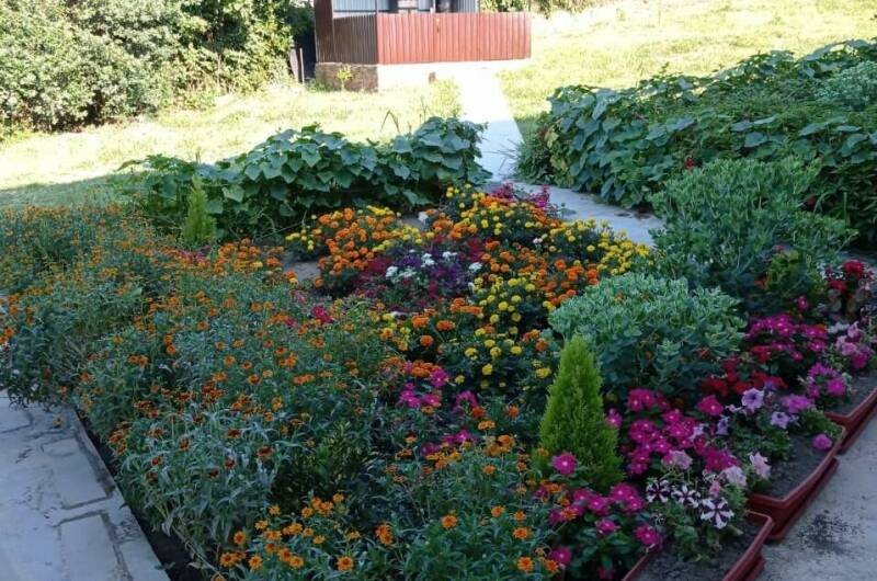 Изображение Изображение гостиницы &quot;База отдыха «Эдем»&quot; #3 #3