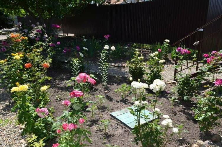 Изображение Изображение гостиницы &quot;Гостевой дом «White»&quot; #7 #7