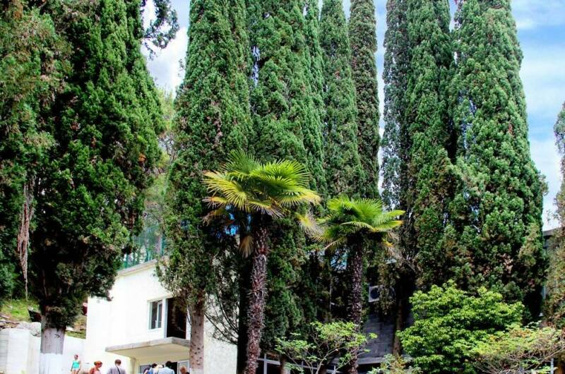 Изображение Изображение отеля / гостиницы "Летний Пансионат «Солнечный»" #10 #8