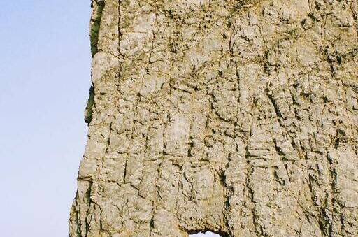 Изображение Изображение гостиницы "Гостевой дом «Сказка у моря»" #3 #3