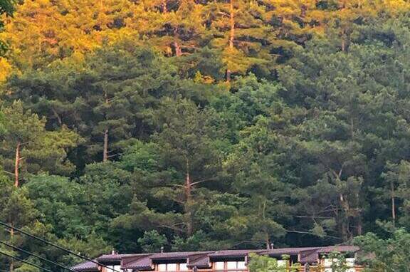 Изображение Изображение гостиницы "Гостевой дом «Сказка у моря»" #5 #5